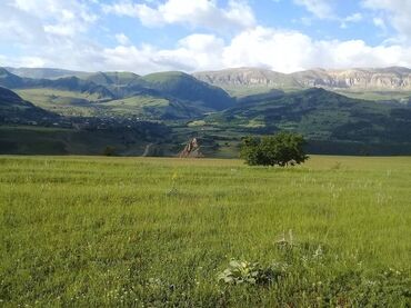 kend ehmedlide torpaq: 130 sot, Maklerlər narahat etməsin, Kupça (Çıxarış)