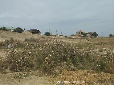 sarayda torpag: 9 sot, Tikinti, Maklerlər narahat etməsin, Kupça (Çıxarış) — 6