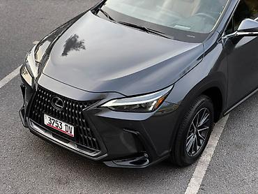Lexus: Lexus NX: 2023 г., 2.4 л, Автомат, Бензин, Кроссовер — 8