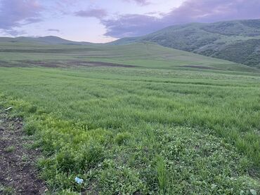 Torpaq sahələrinin satışı: 10 sot, Tikinti, Mülkiyyətçi, Kupça (Çıxarış)
