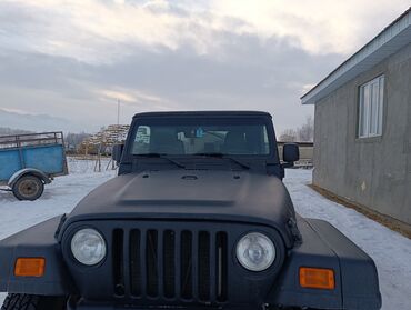 Jeep: Jeep Wrangler: 2007 г., 2.5 л, Механика, Бензин, Внедорожник — 4