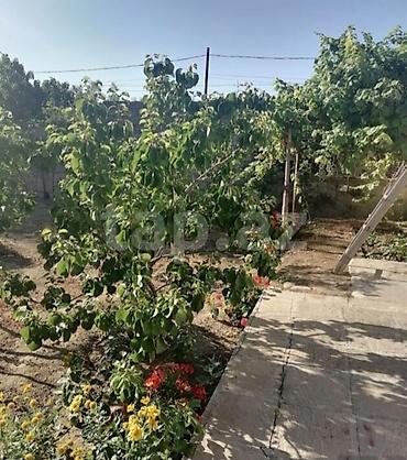 Həyət evləri və villalar: 100 kv. m, 3 otaqlı, İnternet, Telefon, Qaz — 9