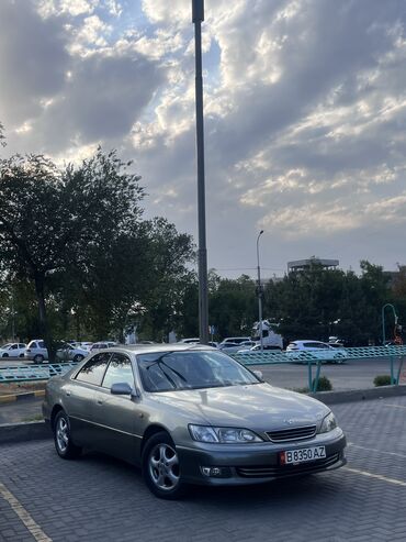 решетка на виндом: Toyota Windom: 2000 г., 2.5 л, Типтроник, Бензин, Седан