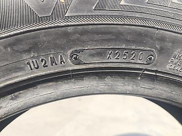 she: Шины 205 / 65 / R 16, Зима, Б/у, Пара, Легковые, Япония, Dunlop — 3