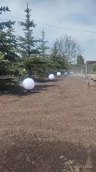 Дизайн, проектирование: Дизайн | Дома — 13