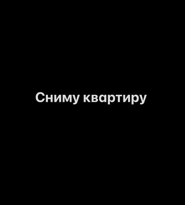 снят квартиру на долгий срок: Студия