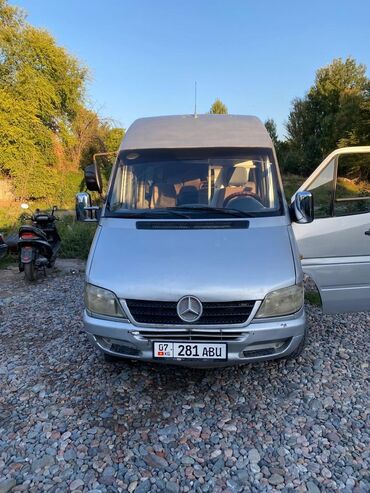 Mercedes-Benz: Mercedes-Benz Sprinter: 2003 г., 2.9 л, Механика, Дизель, Бус