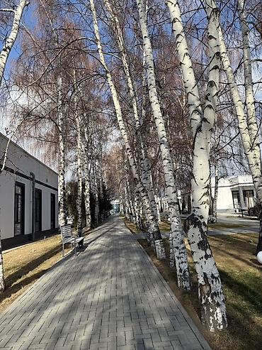 Иссык-Куль 2026: Сдается современный одноэтажный коттедж в ЦО «Атлантис» 🌊 Планировка — 9