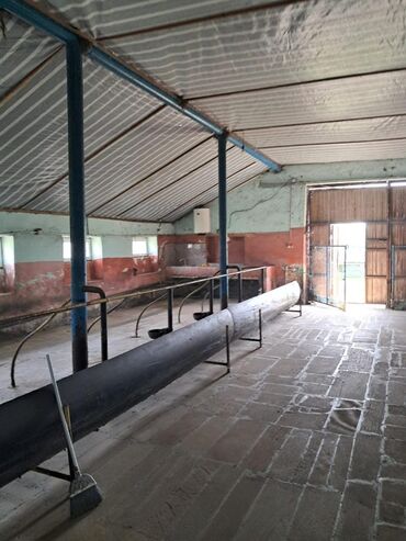 Torpaq sahələrinin satışı: Kənd təsərrüfatı -da lalafo.az — 16 Torpaq sahələrinin satışı: Kənd təsərrüfatı — 16