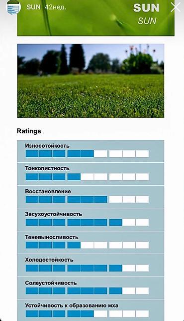 Газон: Семена европейского газона DLF (Дания) по оптовым ценам! ✅В наличии — 9