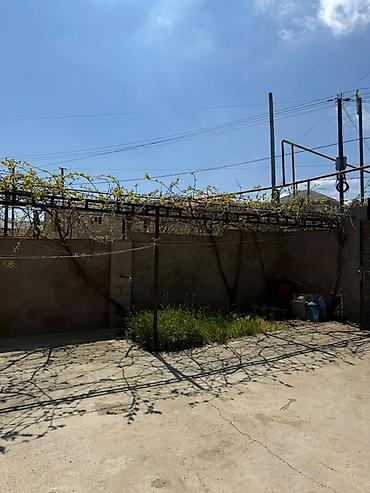 ardıc ağacı: 3 otaqlı, 90 kv. m, Orta təmir — 3