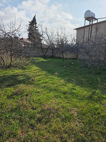 Torpaq: 6 sot, Tikinti, Makler, Kupça (Çıxarış), Texniki pasport — 3