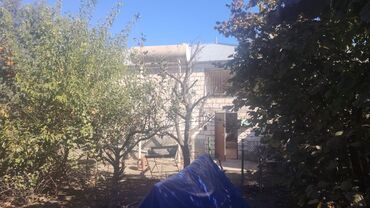 Həyət evləri və villaların satışı: Qazax rayonu Canallı kəndi qaz kompressorla üzbəüz magistral yoldan -da lalafo.az — 2 Həyət evləri və villaların satışı: Qazax rayonu Canallı kəndi qaz kompressorla üzbəüz magistral yoldan — 2