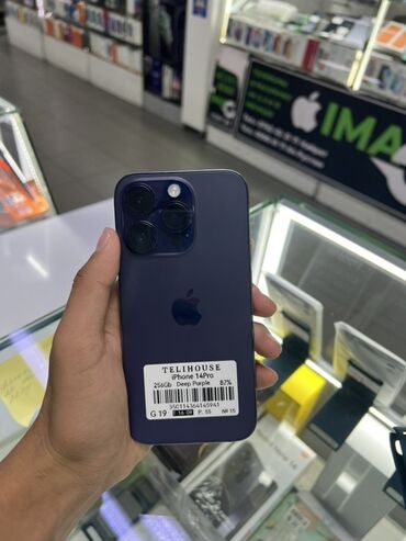 вытяжка на кухне цена бишкек: IPhone 14 Pro, Б/у, 256 ГБ, Deep Purple, 87 %