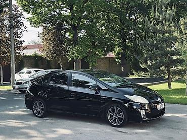 Toyota: Toyota Prius: 2009 г., 1.8 л, Вариатор, Гибрид, Хэтчбэк — 11