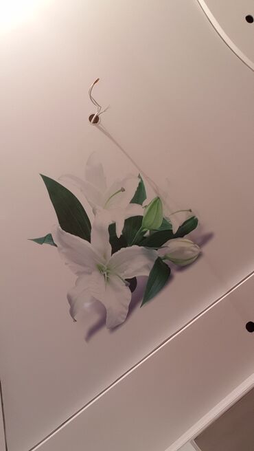 Натяжной потолок: Натяжной потолок 3D потолки, Матовое, Глянцевое — 21