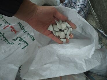 Kubiklər: Kubiklər, Kredit yoxdur — 6