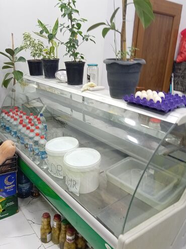 Biznes üçün program təminatı: Soyuducu vitrin – şaquli açılan, şüşə önlü, içdən işıqlı