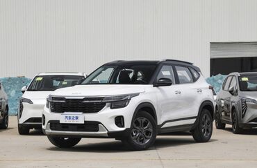 Kia: Kia Seltos: 2024 г., 1.5 л, Вариатор, Бензин, Внедорожник