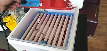 16 mini: Inkubator inqibator inkibator inqubator 63 yumurtaliq zavod — 6