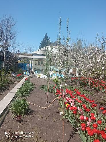 Продажа коттеджей и домов: Продаётся дом, 80 кв. м. 6 комнат, кирпичный, тёплый. Хозпостройки — 18