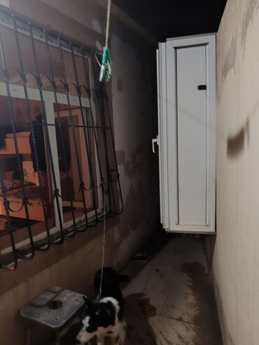 Həyət evləri və villaların satışı: Binəqədi qəs. 2 otaqlı, 60 kv. m, Kredit yoxdur, Yeni təmirli -da lalafo.az — 11 Həyət evləri və villaların satışı: Binəqədi qəs. 2 otaqlı, 60 kv. m, Kredit yoxdur, Yeni təmirli — 11