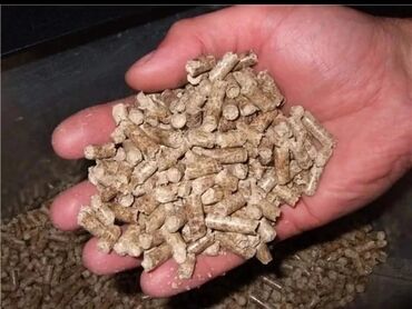 Yem üyüdən aparatlar: Patron yemi hazırlayan maşınlar satılır. ( Гранулятор ). Maşınların — 9