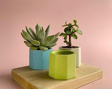 bonsai: Məhsul: Kiçik dekorativ saksı qabları (poliedr formalı) • Dizayn — 1
