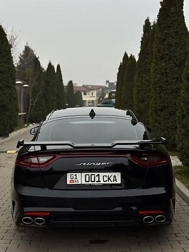 bi: Kia Stinger: 2019 г., 2 л, Автомат, Бензин, Фастбек — 4