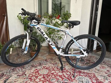 велосипед trinx m136 цена: Цена Galaxy 11000
Trinx 17000
