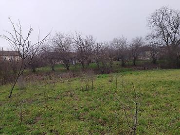 sabunçu rayonu: 30 sot, Tikinti, Mülkiyyətçi, Kupça (Çıxarış) — 10