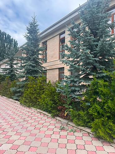 Продажа коттеджей и домов: ✨ Эксклюзивный коттедж на Иссык-Куле ✨ Продаётся коттедж в курортной — 19