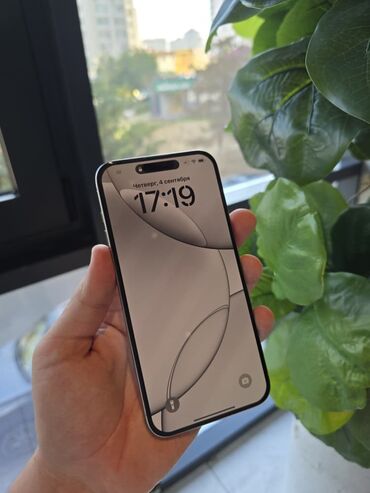 телефоы: IPhone 15 Pro Max, Колдонулган, 256 ГБ, White Titanium, Заряддоочу түзүлүш, Коргоочу айнек, Каптама