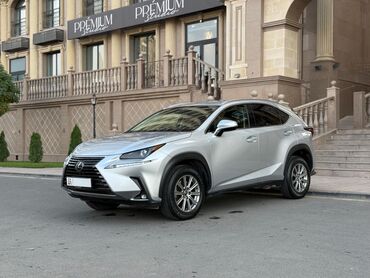 Lexus: Lexus NX: 2018 г., 2 л, Автомат, Бензин, Кроссовер — 2