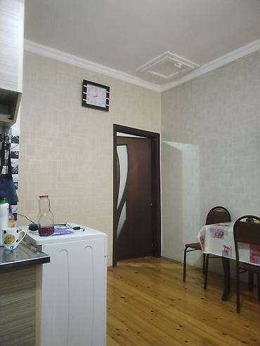 berdede kiraye evler 2020: Otaq yoldaşı axtarılır, evin hər şəraiti var, Xırdalanda 119, xəzinə — 10