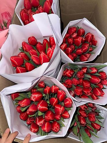 Букеты из живых цветов: Тюльпаны с луковицей Оптом | В розницу - Свежие тюльпаны с крупным — 8