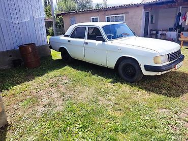 жугули 06: ГАЗ 31029 Volga: 1995 г., 2.4 л, Кол менен иштөөчү, Бензин, Седан — 2