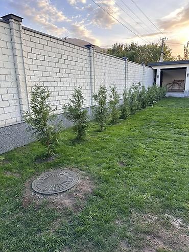 сдаю дом особняк: Срочно срочно Просторный частный дом с благоустроенной территорией - — 4