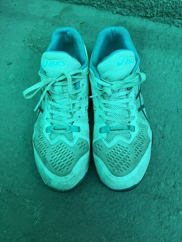пена для обуви: Кроссовки ASICS Sky Elite - Модель: Sky Elite (маркировка на пятке) -