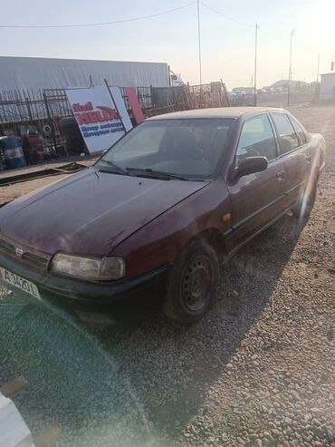 нисан патрол: Nissan Primera: 1994 г., 1.6 л, Механика, Бензин, Седан