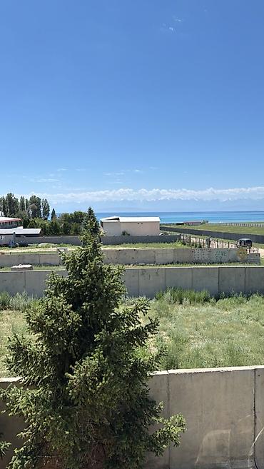 гостинный дом: Гостевой дом на Иссык-Куле, Гостевой дом "Дапан", Тамчы, 10+ мест, Посуточно — 4