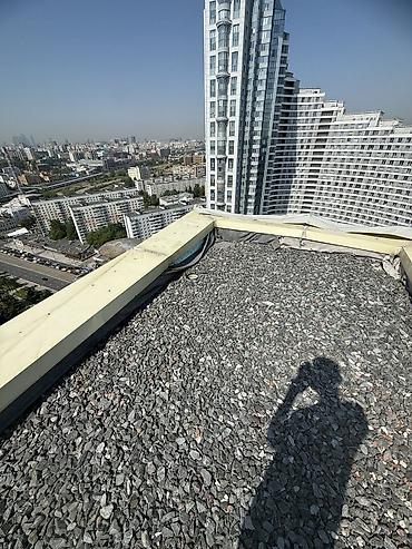дымовые: Промышленный альпинизм Больше 6 лет опыта — 1