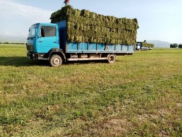 спринтер рекс грузовой: Грузовик, Mercedes-Benz, Стандарт, 6 т, Новый