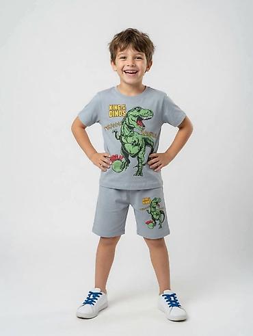 paket odece za decake: Dečiji komplet za leto – majica i bermude sa dinosaurus motivom - — 1