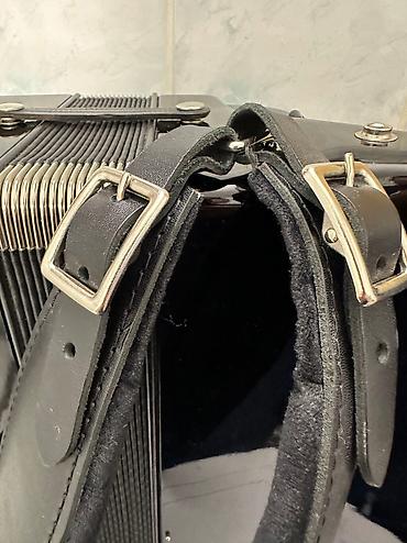 Аккордеоны: Продаю германский Аккордеон Суроттогу Аккордеондор баары бар Рояль — 17