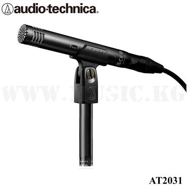 Студийные микрофоны: Конденсаторный микрофон Audio-Technica AT2031 Значительный опыт работы