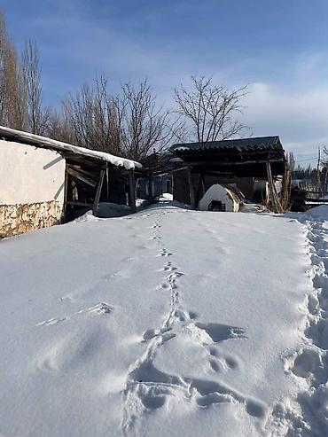 Продажа домов: Дом, 35 м², 7 комнат — 17