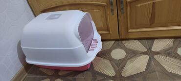 Pişiklər: Britan, Erkək, Yaxşı əllərə, Ünvandan götürmə -da lalafo.az — 11 Pişiklər: Britan, Erkək, Yaxşı əllərə, Ünvandan götürmə — 11