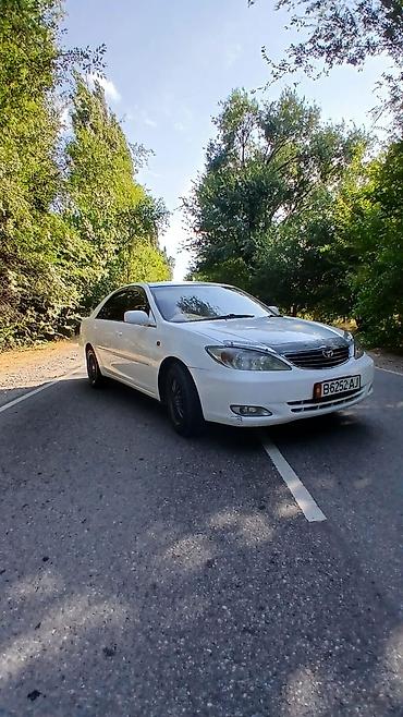 highlander 2: Toyota Camry: 2003 г., 2.4 л, Автомат, Бензин, Седан — 1
