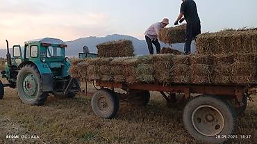 Другие тракторы: Трактор Т40 прицеп менен обмен каралат — 1